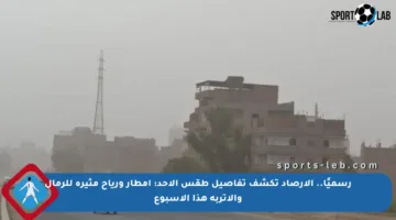رسميًا.. الأرصاد تكشف تفاصيل طقس الأحد: أمطار ورياح مثيرة للرمال والأتربة هذا الأسبوع